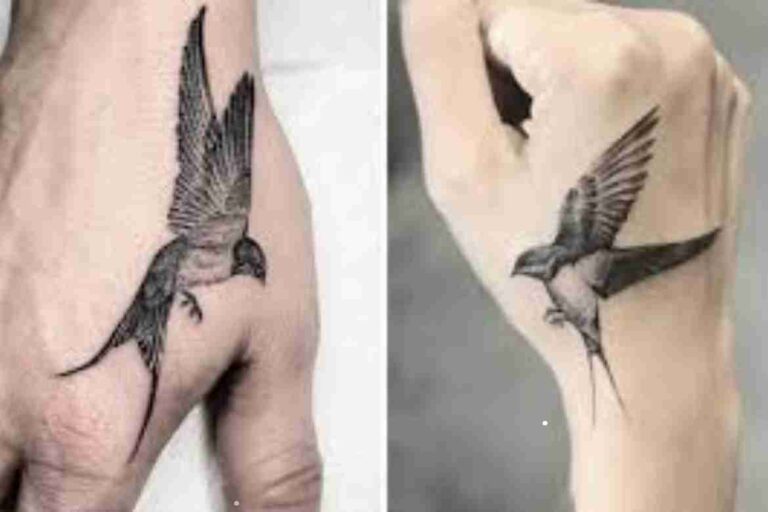 Sparrow Bird Meaning Tattoo Vs meaning of swallow tattoo