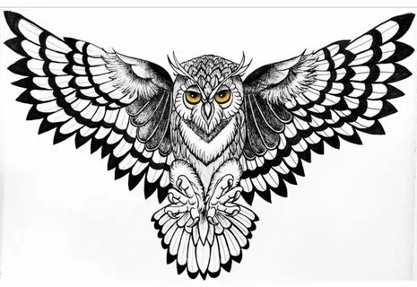 Owl Tattoo Meaning