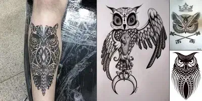 Owl Tattoo Design