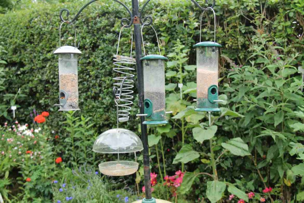 What Are Large Bird Feeders?